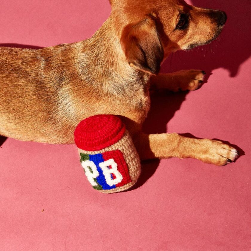 Jouet pour chien - Beurre d'arachide tricoté avec Couineur