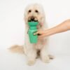 Gourde portable pour chiens Médium 44cl - Springer