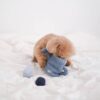 Jouet Arrosoir 3-en-1 pour Chien