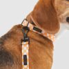 Laisse  pour chien 1,2 m en tissu recyclé Orange - Matériaux Durables
