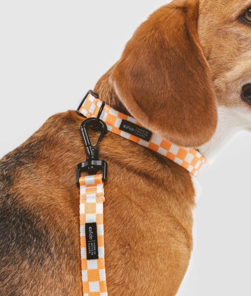 Laisse  pour chien 1,2 m en tissu recyclé Orange - Matériaux Durables – Image 2