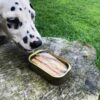 Filets de Maquereau pour Chien