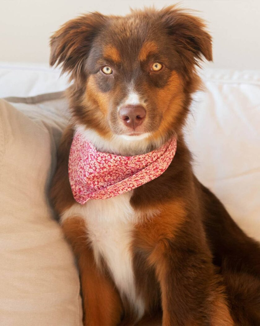 Bandana liberty