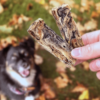 Fish Skin Fingers sans additifs - Produits à mâcher sains et naturels pour chiens