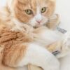 Biscuit de Fortune en Feutre pour Chat - Herbe à Chat 100% Bio
