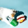 Jouet pour chien - Bière tricotée avec Couineur