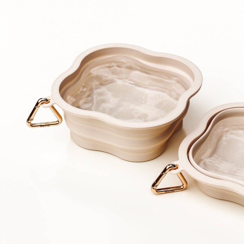 Bol à Eau Pliable pour Chien en Silicone Sans BPA - Hydratation Facile en Voyage