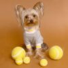 Balle de tennis en laine durable pour jeux avec chien