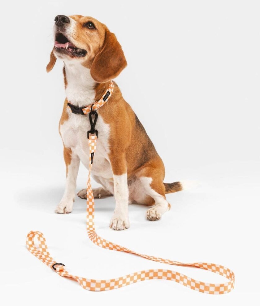 Laisse  pour chien 1,2 m en tissu recyclé Orange - Matériaux Durables