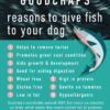 Fish Skin Fingers sans additifs - Produits à mâcher sains et naturels pour chiens