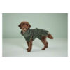 Peignoir pour chien absorbant et résistant