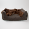 Lit pour Chien Bouclé Mocca - Modèle Billy