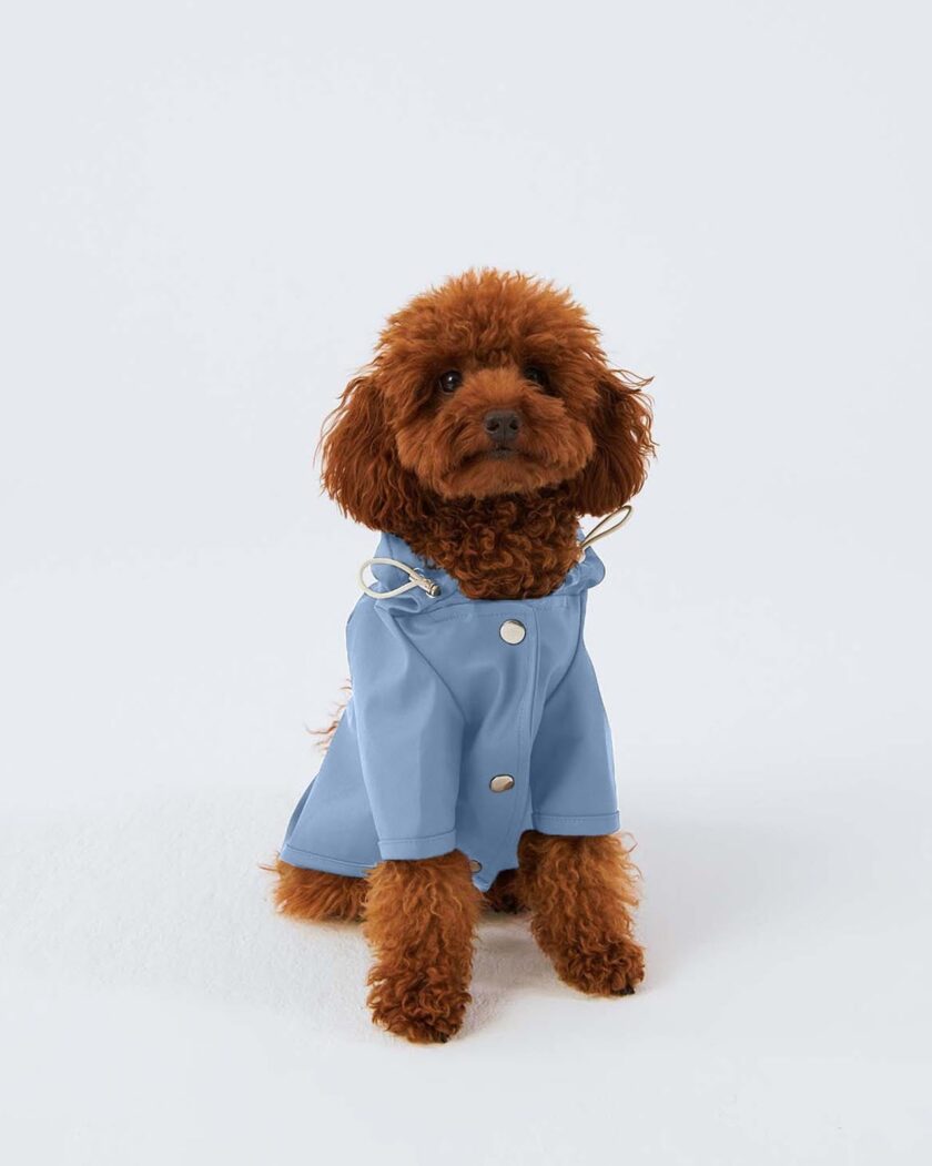 Imperméable pour chiens - Bleu ciel