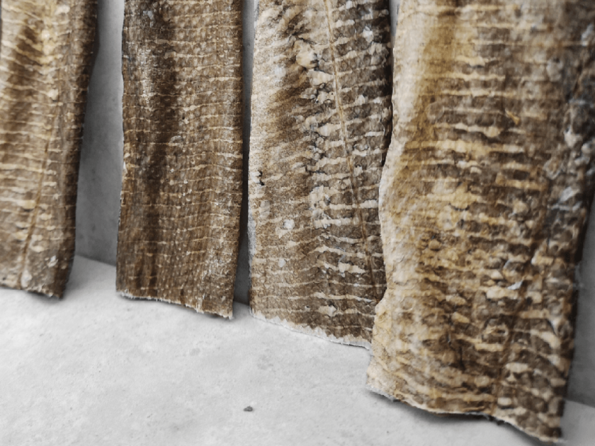 Whitefish Jerky pour chiens - Friandises à mâcher sans plastique