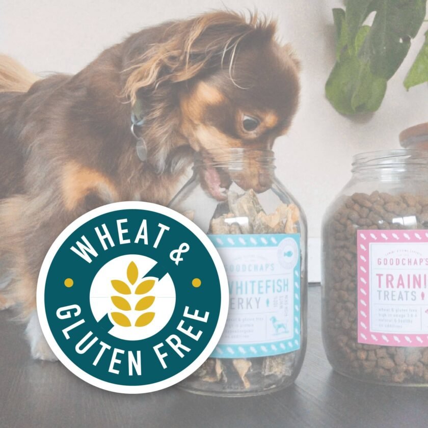 Pack Économique Whitefish Jerky - Produits Naturels à Mâcher pour Chiens