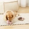 Jouet Enrichissant Petite Two pour Chien - Divertissement