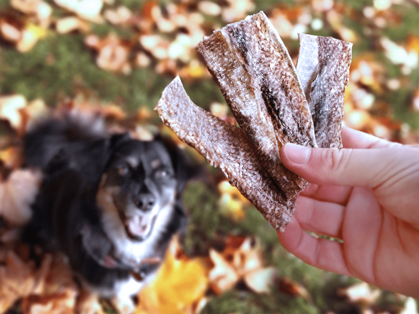 Whitefish Jerky pour chiens - Friandises à mâcher sans plastique
