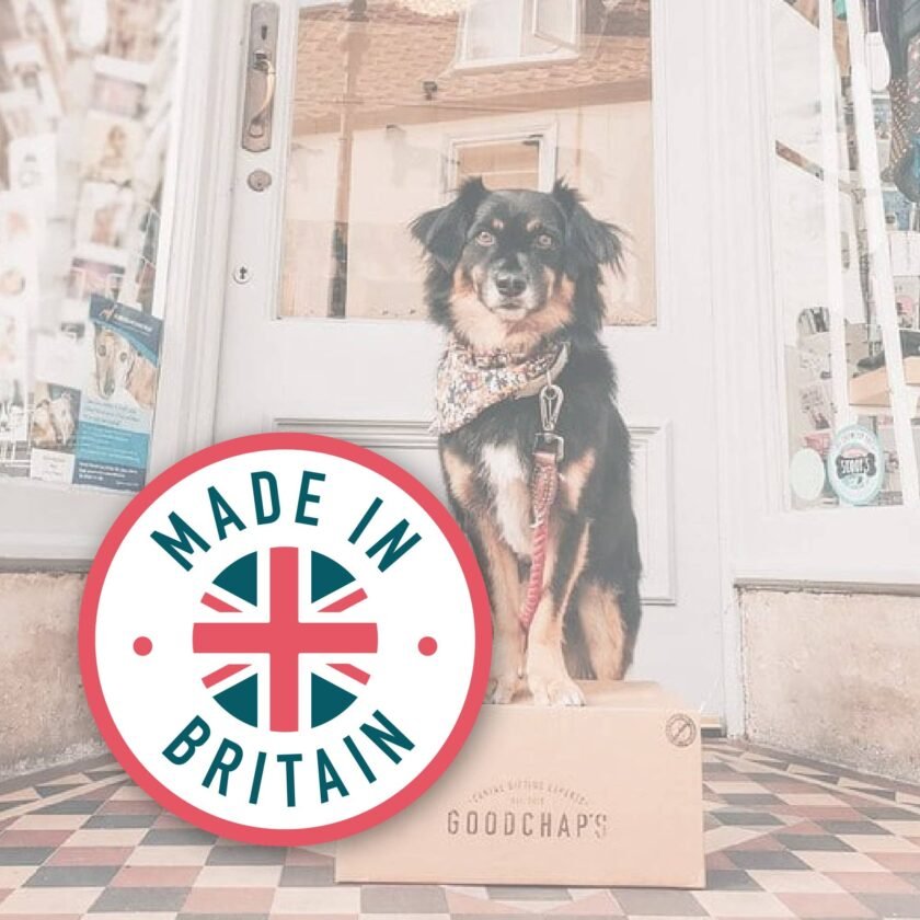 Pack Économique Whitefish Jerky - Produits Naturels à Mâcher pour Chiens