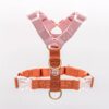 Harnais Classique pour Chien Coloris Cloudberry