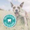 Pack Économique Whitefish Jerky - Produits Naturels à Mâcher pour Chiens