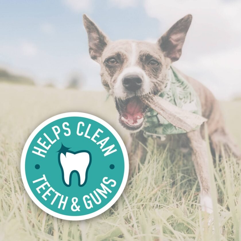 Pack Économique Whitefish Jerky - Produits Naturels à Mâcher pour Chiens