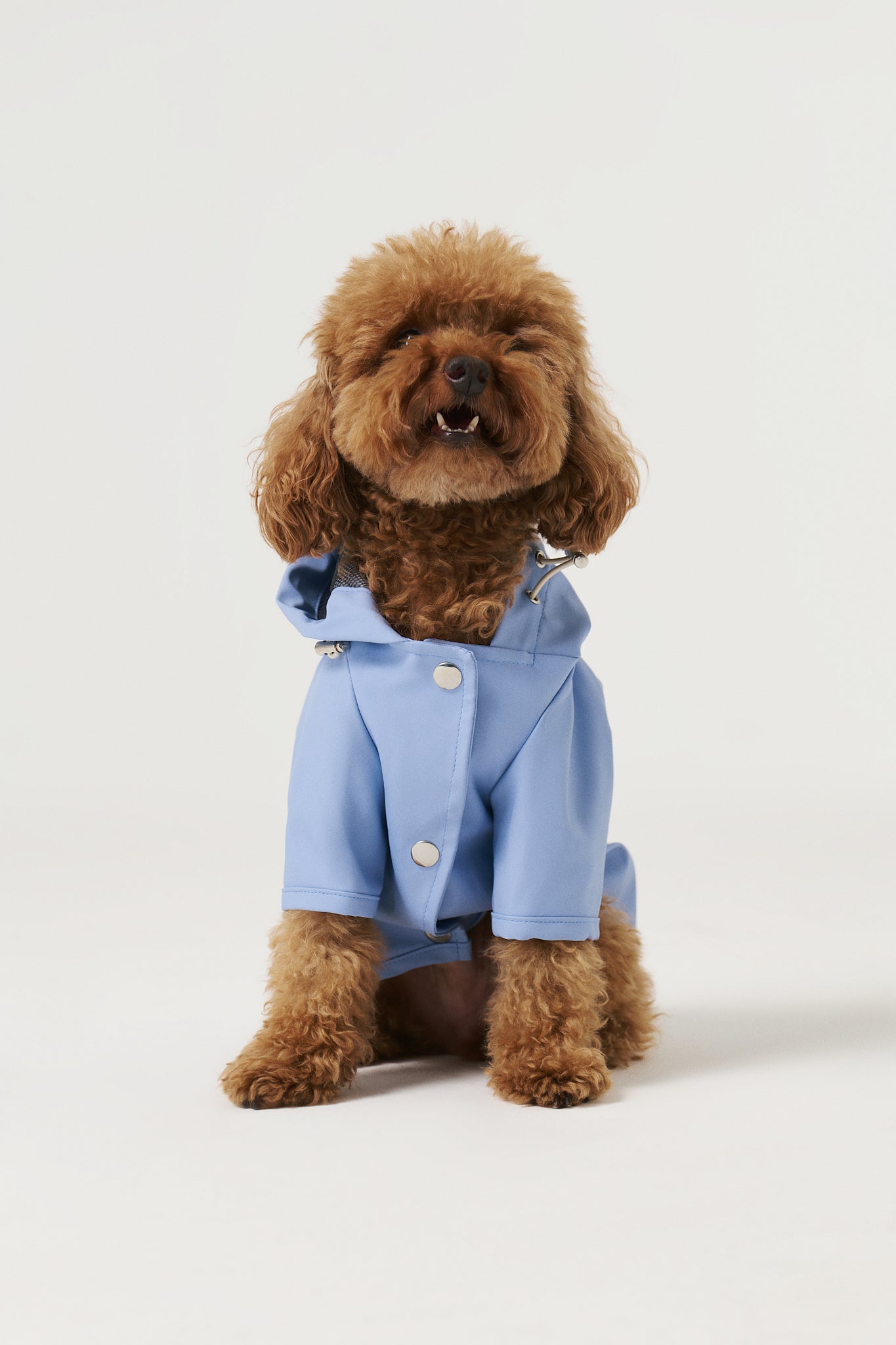 Imperméable pour chiens - Bleu ciel