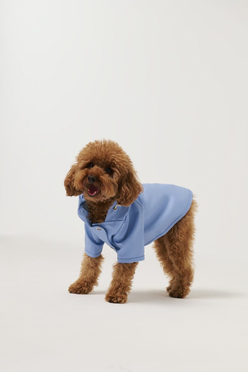 Imperméable pour chiens - Bleu ciel