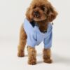 Imperméable pour chiens - Bleu ciel