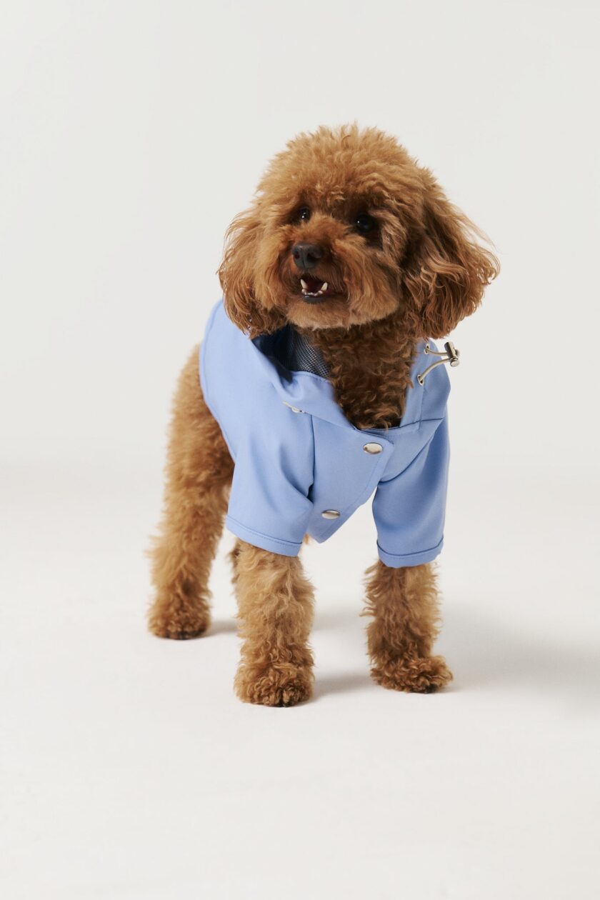 Imperméable pour chiens - Bleu ciel