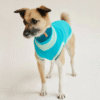 Pull à col roulé réfléchissant pour chiens – Crystal Sky
