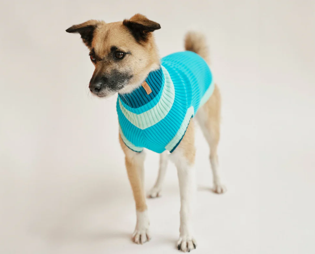 Pull à col roulé réfléchissant pour chiens – Crystal Sky