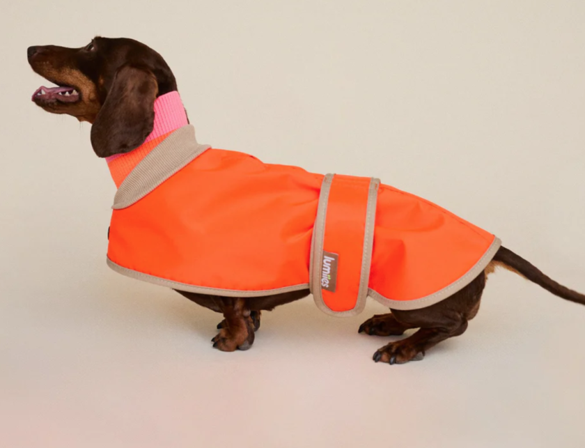 The Glow raincoat