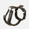 Harnais sherpa Teddy ( 2 coloris )