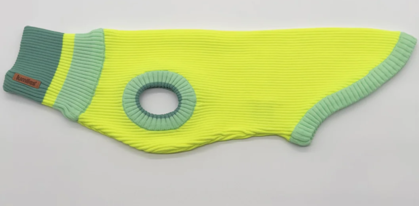 Pull à col roulé réfléchissant pour chiens – Neon Matcha