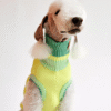 Pull à col roulé réfléchissant pour chiens – Neon Matcha