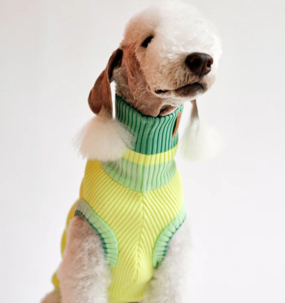 Pull à col roulé réfléchissant pour chiens – Neon Matcha