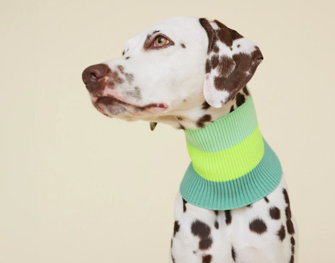 Écharpe pour chiens - 3 coloris