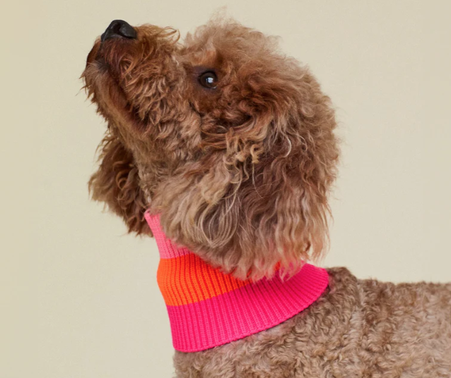 Écharpe pour chiens - 3 coloris