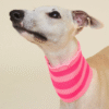 Écharpe pour chiens - 3 coloris