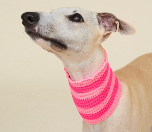 Écharpe pour chiens - 3 coloris