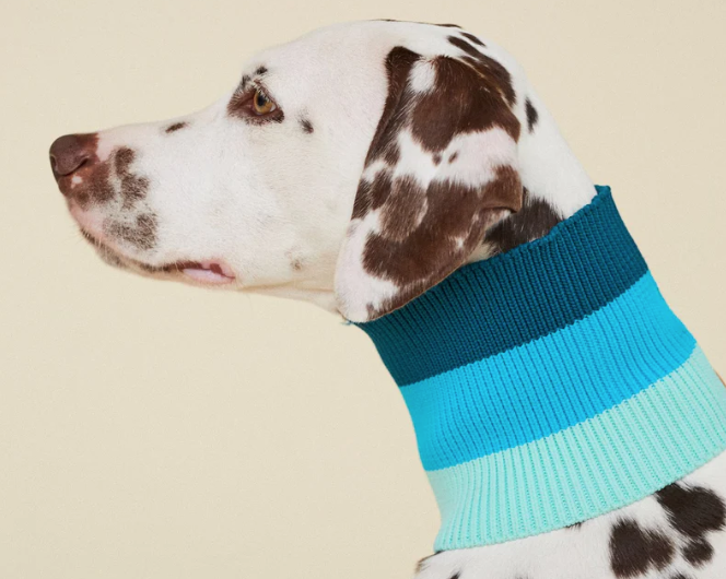 Écharpe pour chiens - 3 coloris