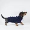 Pull en laine tricoté pour chiens