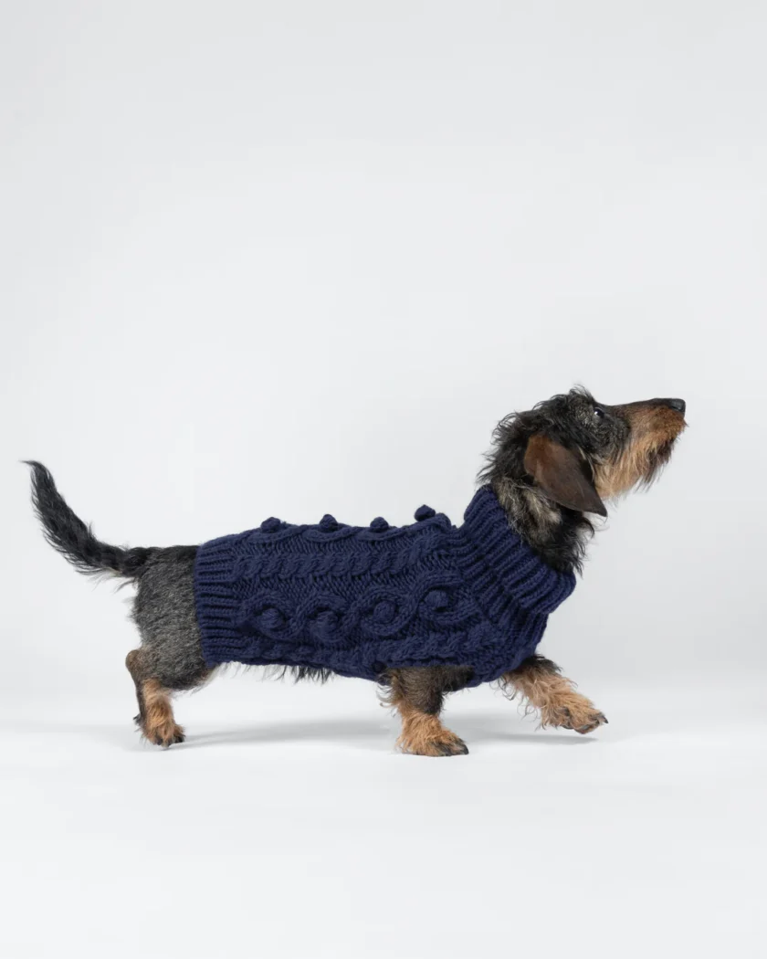 Pull en laine tricoté pour chiens