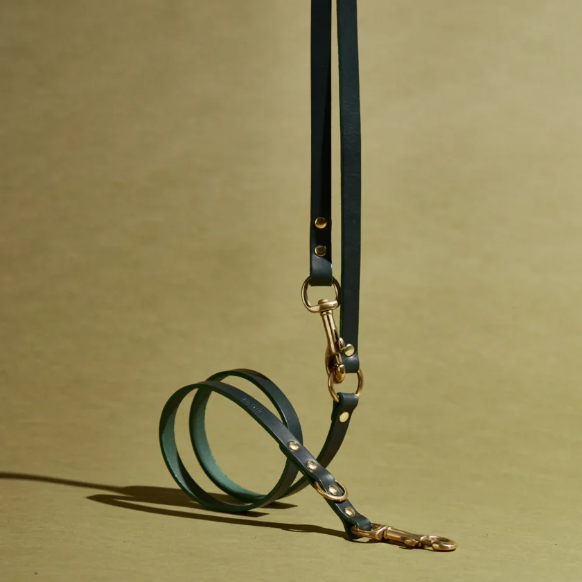 Laisse longue verte ajustable en cuir italien