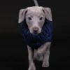 Pull en laine bleu marine pour chiens