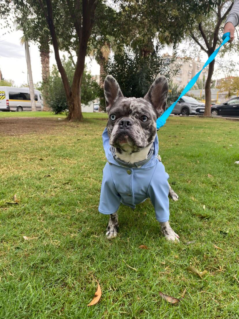 Imperméable pour chiens - Bleu ciel