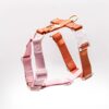 Harnais Classique pour Chien Coloris Cloudberry