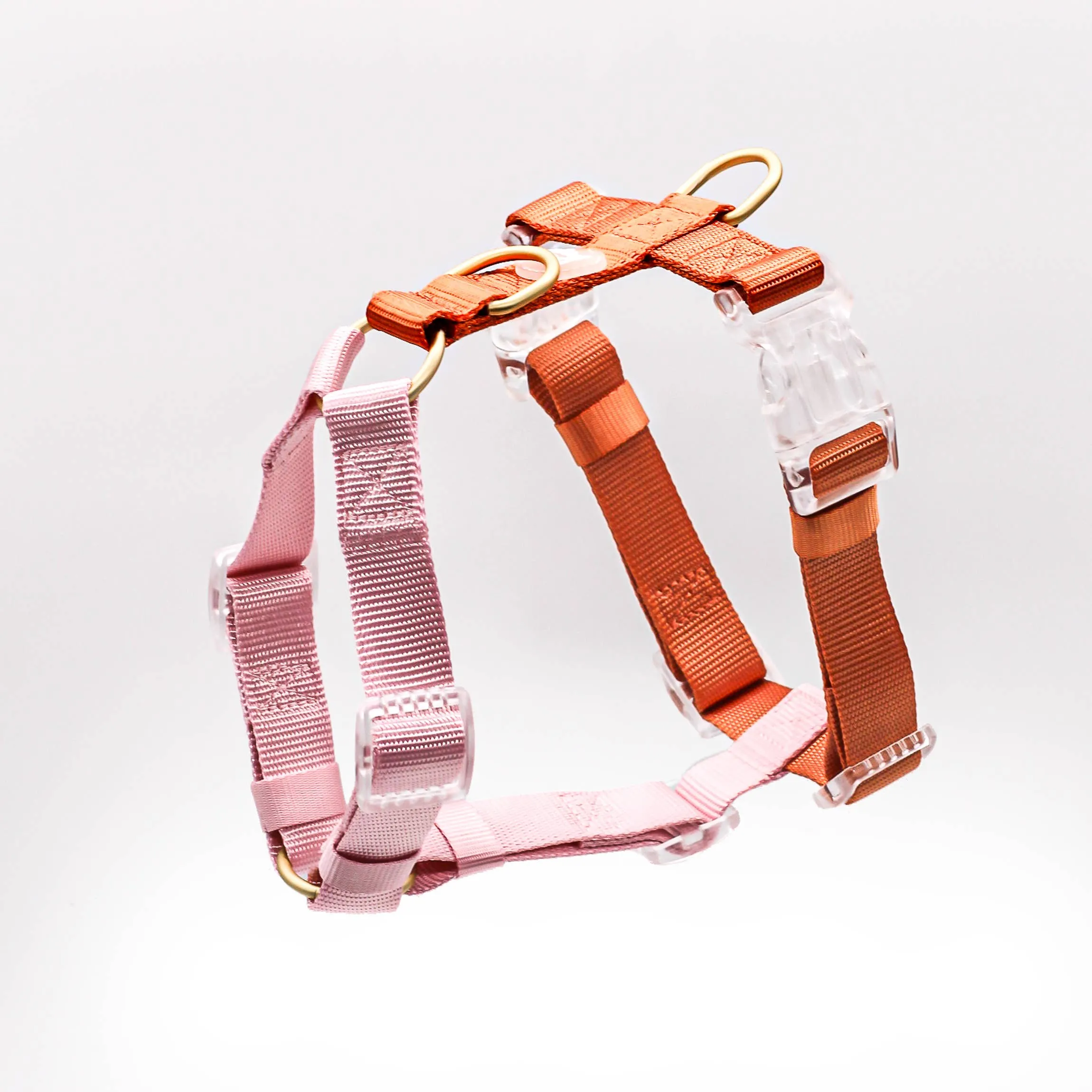 Harnais Classique pour Chien Coloris Cloudberry