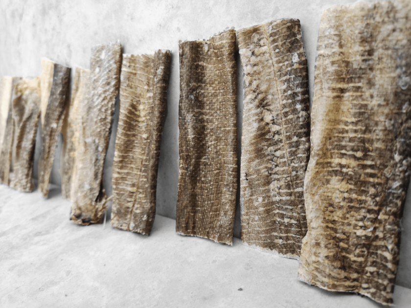 Pack Économique Whitefish Jerky - Produits Naturels à Mâcher pour Chiens