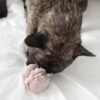 Jouet Enrichissant Petite Two pour Chien - Divertissement